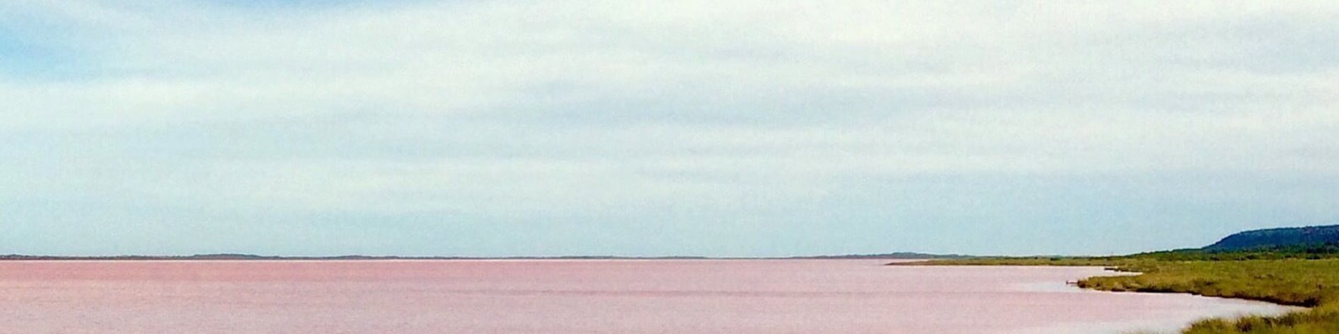 #waterlust pink lake near Kalbarri, 6 hours away from perth, Western Australia.
