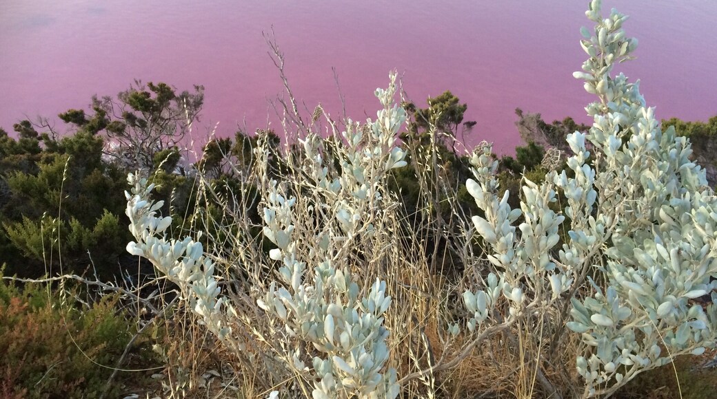 Well known as "the pink lake", the colour at sunset is magic, everything turns into pink