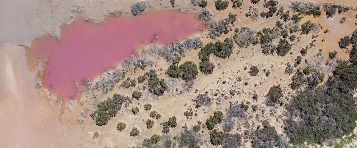 One of the must-see spots between Perth and Exmouth, Pink Lake near Port Gregory is gorgeous. If you've got a drone, send it up for a really unique view of the patterns and colours of the lake. This shot was captued just about the lookout and really shows how vibrant the lake really is.
Read more about photographing Western Australia from the air here - https://www.thewanderinglens.com/how-to-take-aerial-photos/