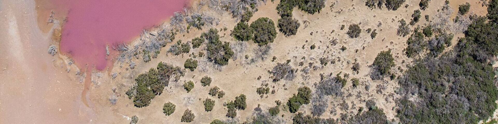 One of the must-see spots between Perth and Exmouth, Pink Lake near Port Gregory is gorgeous. If you've got a drone, send it up for a really unique view of the patterns and colours of the lake. This shot was captued just about the lookout and really shows how vibrant the lake really is.
Read more about photographing Western Australia from the air here - https://www.thewanderinglens.com/how-to-take-aerial-photos/