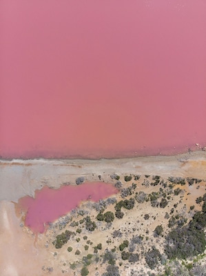One of the must-see spots between Perth and Exmouth, Pink Lake near Port Gregory is gorgeous. If you've got a drone, send it up for a really unique view of the patterns and colours of the lake. This shot was captued just about the lookout and really shows how vibrant the lake really is.
Read more about photographing Western Australia from the air here - https://www.thewanderinglens.com/how-to-take-aerial-photos/