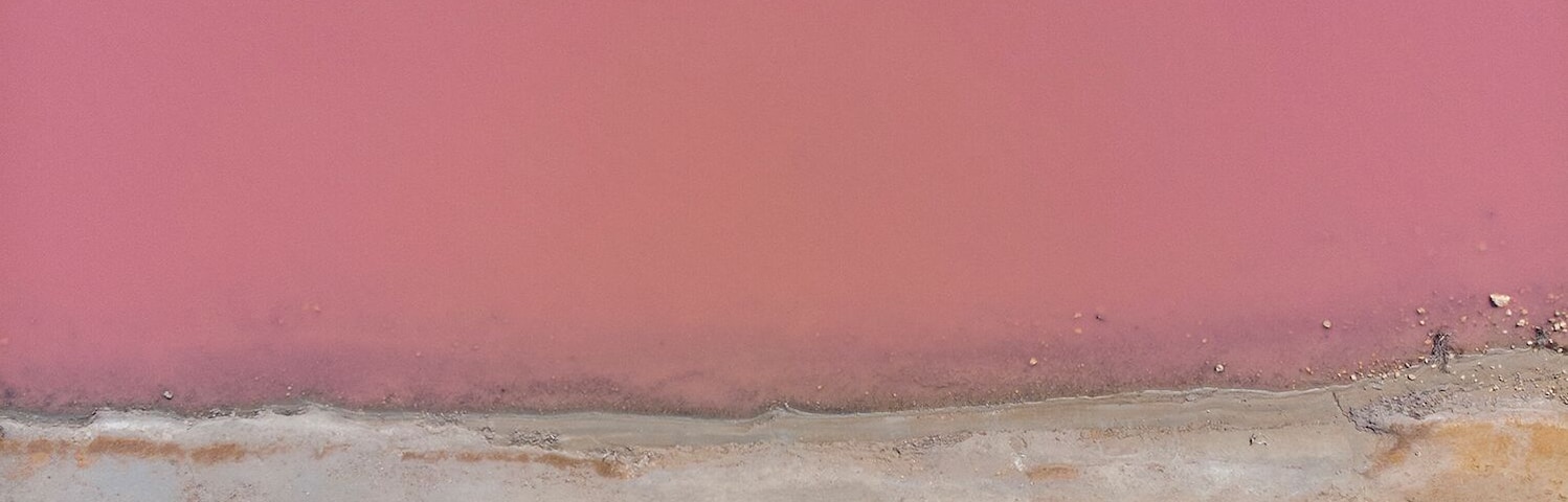 One of the must-see spots between Perth and Exmouth, Pink Lake near Port Gregory is gorgeous. If you've got a drone, send it up for a really unique view of the patterns and colours of the lake. This shot was captued just about the lookout and really shows how vibrant the lake really is.
Read more about photographing Western Australia from the air here - https://www.thewanderinglens.com/how-to-take-aerial-photos/