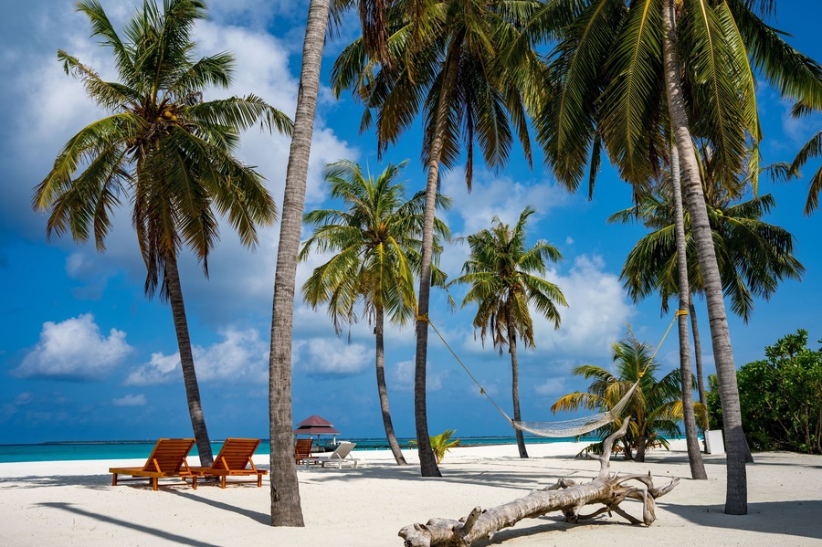 Beautiful dream beach with palmtrees, chairs and a hammock for tourism and vacation