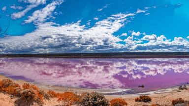 A large body of water reflecting the sky and clouds, surrounded by desert vegetation and a distant mountain range.