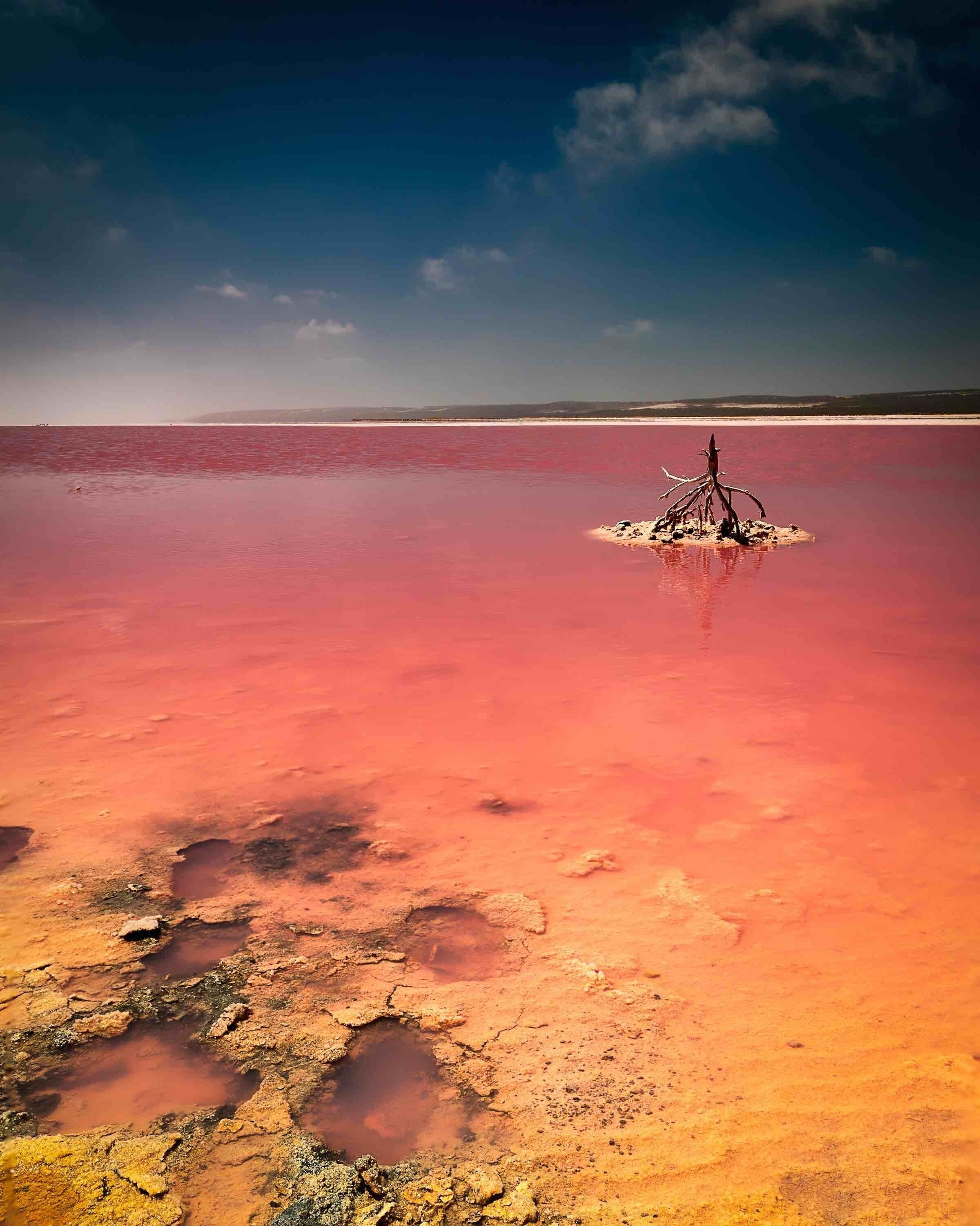 A vast salt flat with a small island in the center.
