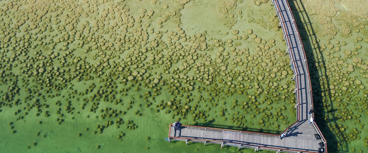 Eine Luftaufnahme einer Brücke über einem grünen Gewässer mit kreisförmigen Formationen an der Oberfläche.