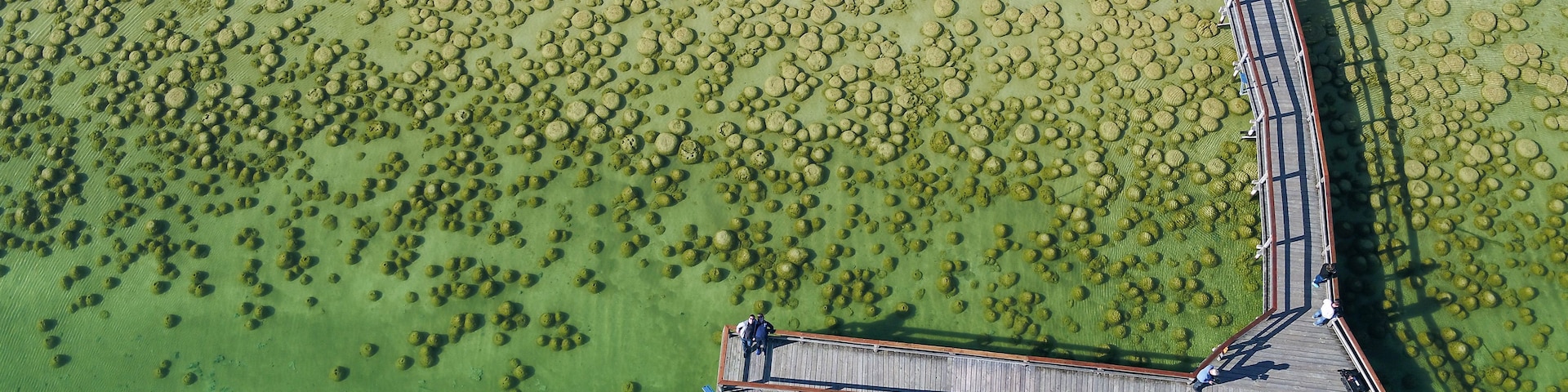 Vista aérea de un puente sobre una masa de agua verde con formaciones circulares en la superficie.