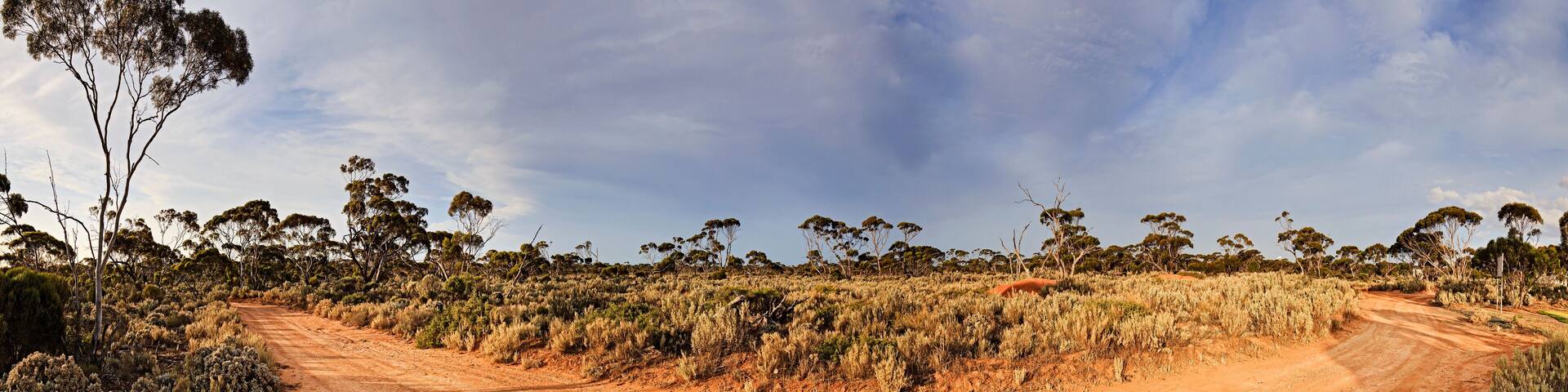 WA Ballad unsealed road pan