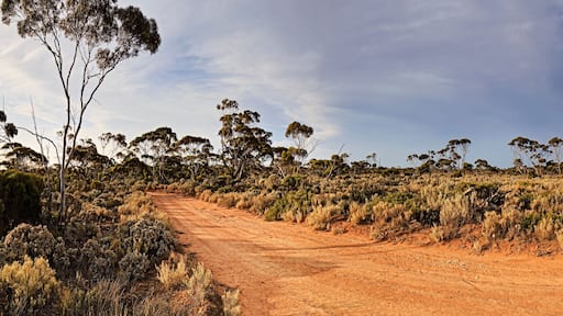 WA Ballad unsealed road pan