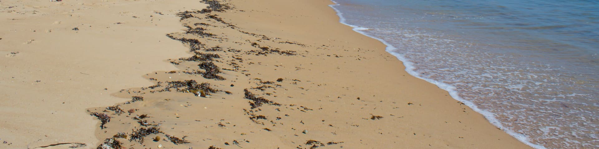 A sandy beach with gentle waves, a clear blue sky, and sparse vegetation on the dunes.