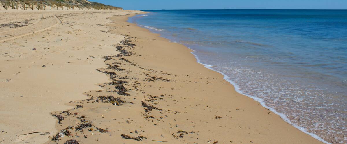 A sandy beach with gentle waves, a clear blue sky, and sparse vegetation on the dunes.