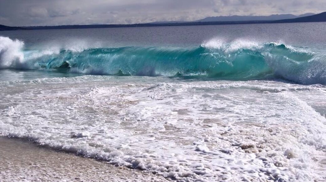 Beautiful wave in Albany 🌊