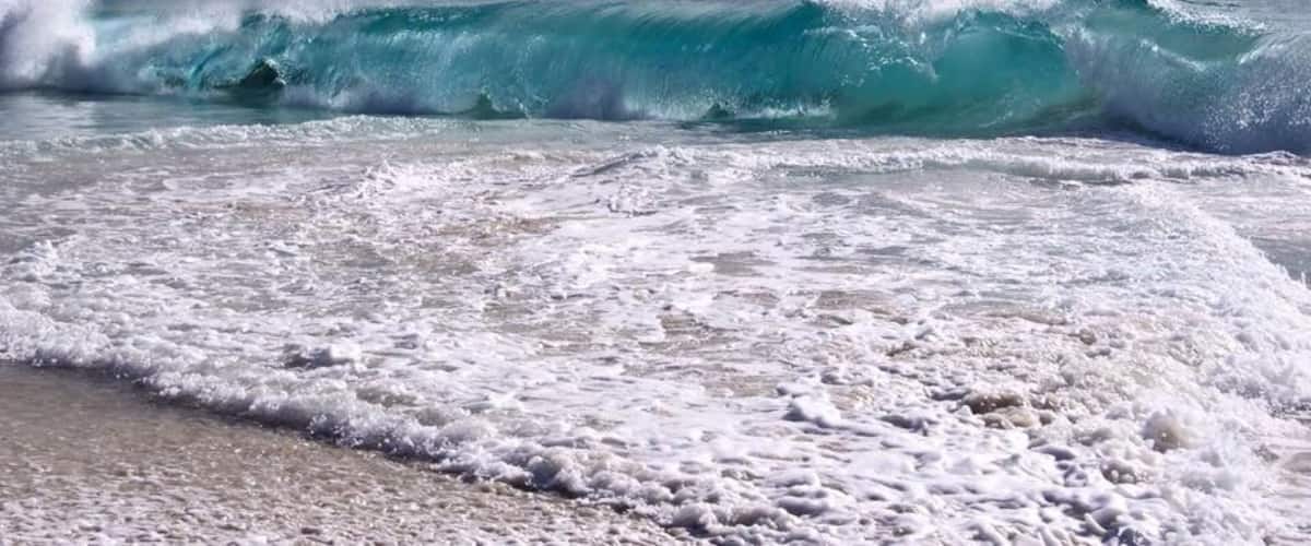 Beautiful wave in  Albany 🌊