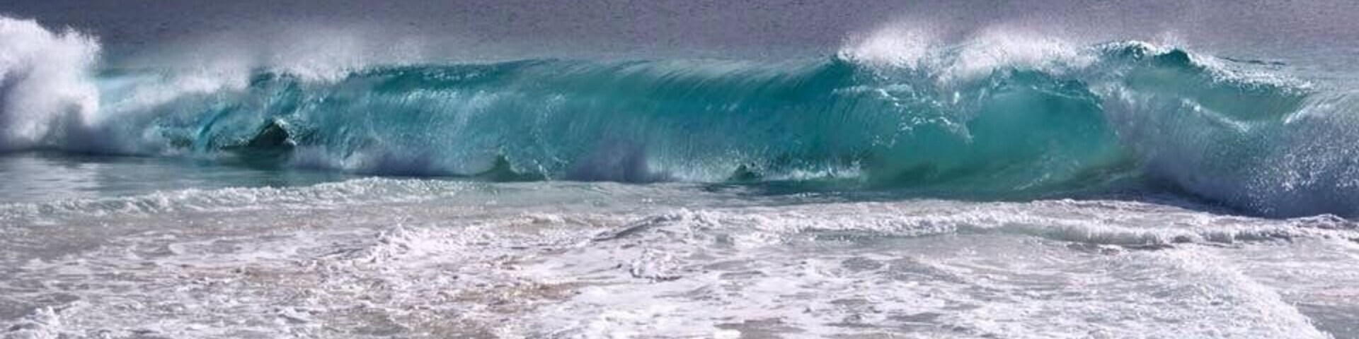 Beautiful wave in  Albany 🌊