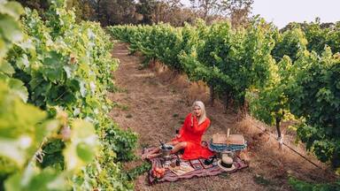 🇷🇴 Un picnic nu ar fi la fel de încântător fără un pahar de vin! 🍷
Mai ales când pentru un timp curtea ta este o podgorie! 🍇
Am fost seduși de savoarea vinului spumant roșu marca Oranje Tractor Wine! 😍
Care este locul tău preferat pentru picnic?
🇬🇧 A picnic wouldn't be that delightful without a glass of wine! 🍷
Especially when your backyard is a vineyard for a while! 🍇
We were seduced by Oranje Tractor Wine's sparkling red, crisp and bubbly! 😍
Where is your favourite picnic spot?
#cherryontheworld #wine #winery #picnic #sparklingwine #vineyard #photography #travel #travellolife #travelblogger
