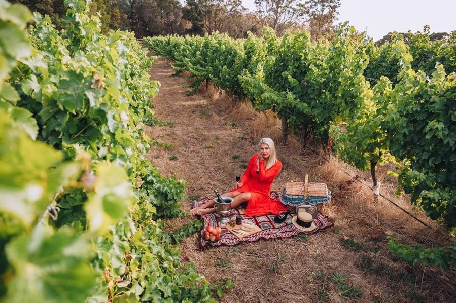 🇷🇴 Un picnic nu ar fi la fel de încântător fără un pahar de vin! 🍷
Mai ales când pentru un timp curtea ta este o podgorie! 🍇
Am fost seduși de savoarea vinului spumant roșu marca Oranje Tractor Wine! 😍
Care este locul tău preferat pentru picnic?
🇬🇧 A picnic wouldn't be that delightful without a glass of wine! 🍷
Especially when your backyard is a vineyard for a while! 🍇
We were seduced by Oranje Tractor Wine's sparkling red, crisp and bubbly! 😍
Where is your favourite picnic spot?
#cherryontheworld #wine #winery #picnic #sparklingwine #vineyard #photography #travel #travellolife #travelblogger