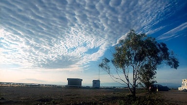 5am is a magical time to enjoy the Nullarbor. Beautiful light and clouds.