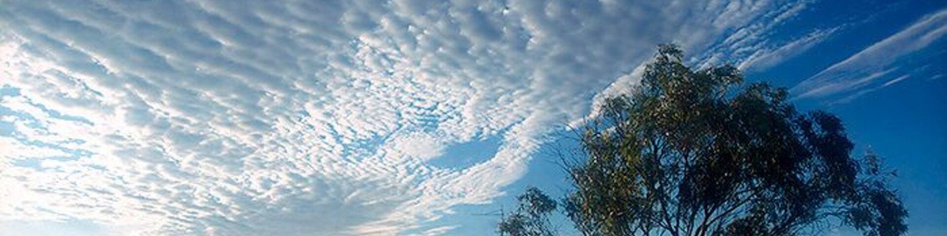 5am is a magical time to enjoy the Nullarbor. Beautiful light and clouds.