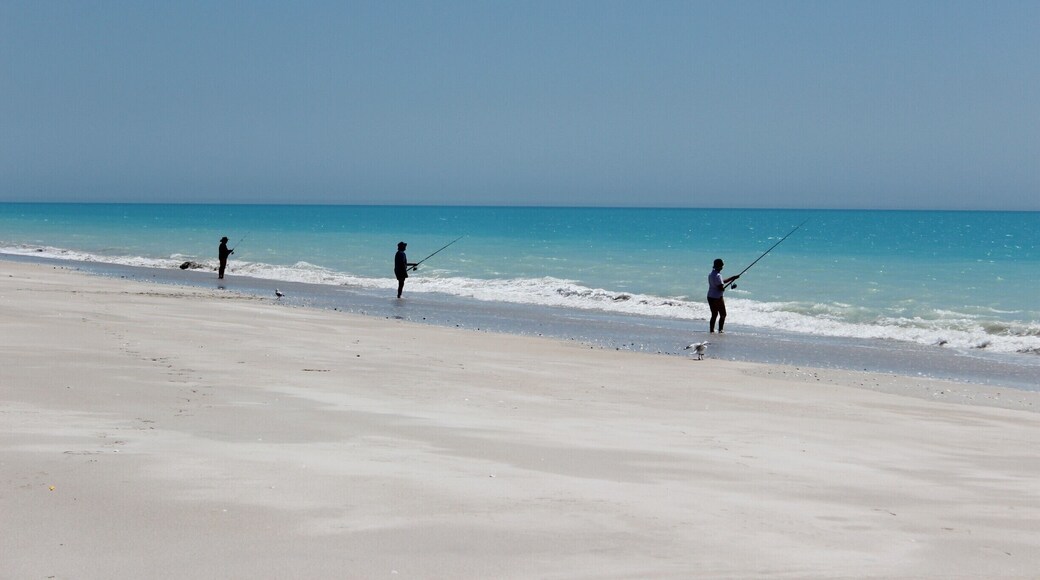 You don't need a 4x4 to drive the long dirt road, but it's a bumpy ride! The turquoise waters at the end make it worth while. Fishermen line the beach, but be careful if you swim - I saw a shark in the shallows as I sunbathed!
#BeachBound