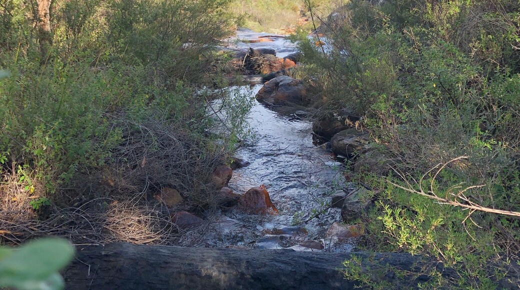 Near Dwellingup, Marrinup Falls is a great winter walk trail. #nature