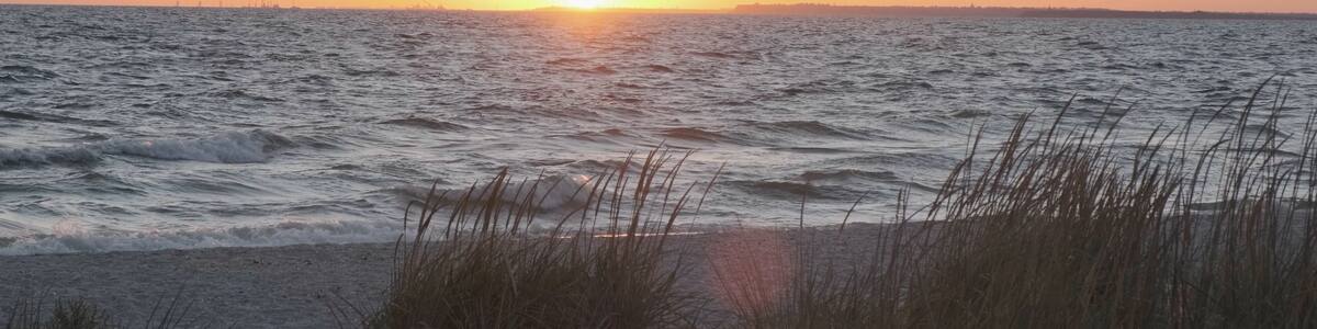 Beautiful orange sunset over sea on wild beach, seagulls and seabirds fly over sea raging waves. No people. Sunbeam in shot. Grass sways in wind. Wild seaside nature concept