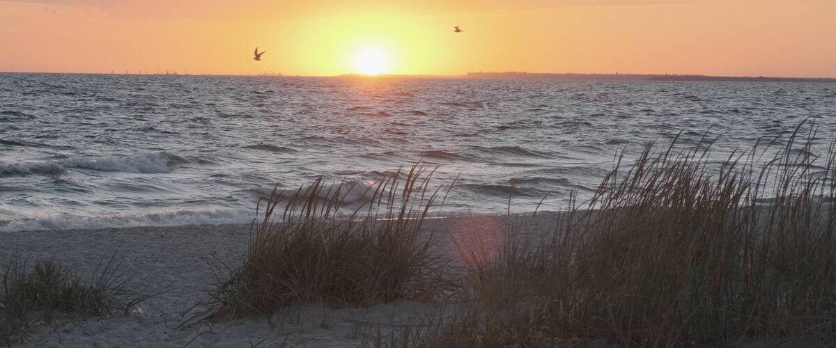 A beach at sunset with waves, grasses, and a distant city skyline.