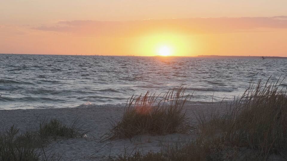A sunset over a beach with waves and grasses in the foreground.