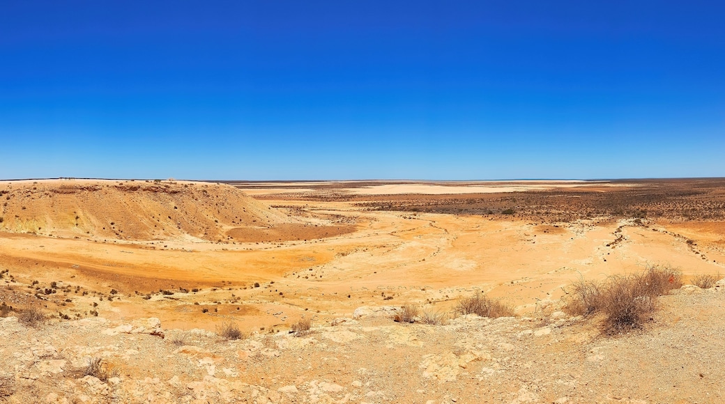 Un vaste paysage désertique, avec des collines douces et une végétation clairsemée.
