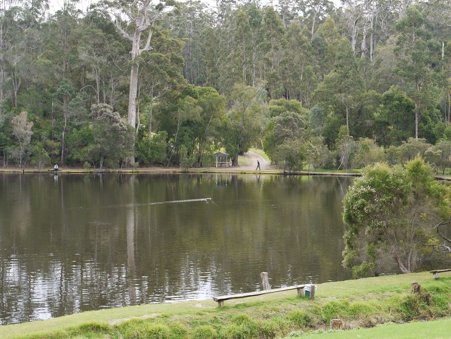 Surrounded by magnificent karri trees, we rented fishing gear to fish for their own lunch here.