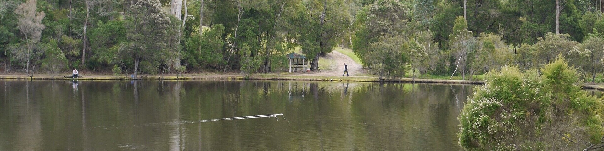 Surrounded by magnificent karri trees, we rented fishing gear to fish for their own lunch here.