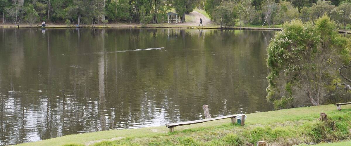 A calm lake surrounded by dense trees and a wooden dock.