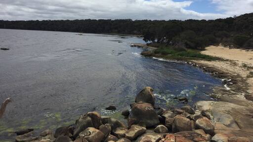 Quiet little beach just out of Denmark.