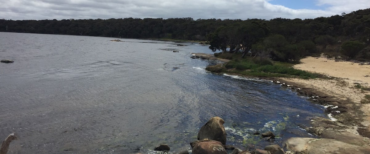 A river with rocks in the foreground, a sandy beach, and a forested area in the background under a partly cloudy sky.