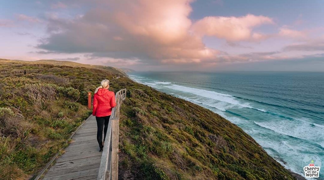 🇷🇴 În Australia este primăvară! 🌸 Anotimpul meu preferat! 😍
A fost un pic ciudat să revenim la temperaturi mai scăzute după 8 luni de vară continuă, dar în același timp foarte frumos!
În cealaltă parte a lumii este primăvară, anotimpul în care soarele ne privește sub alt unghi. 🌤
🇬🇧 It is spring in Australia! 🌸 My favorite season! 😍
It was a bit strange to return to lower temperatures after 8 months of continuous summer, but at the same time very nice!
On the other side of the world it is spring, the season when the sun looks at us from a different angle. 🌤
#cherryontheworld #australia #albany #windfarm #sunset #sabbatical #travelblogger