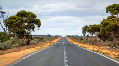 90 Mile Straight on Eyre Highway between Balladonia and Caiguna on Nullarbor Plain of Western Australia. The longest straight stretch of road in Australia and one of the longest in the world.