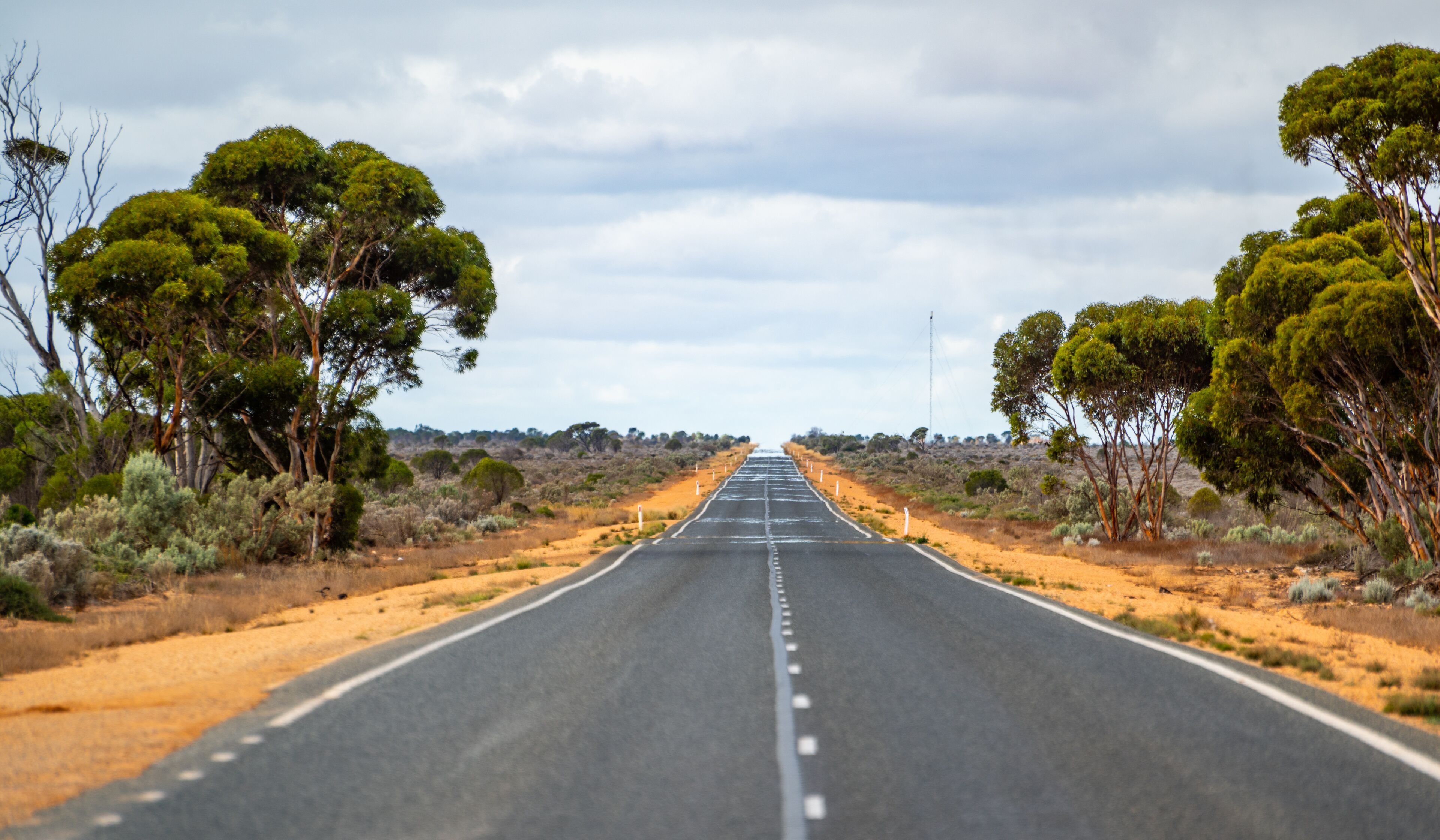 A straight road flanked by trees and shrubs, leading into the distance.