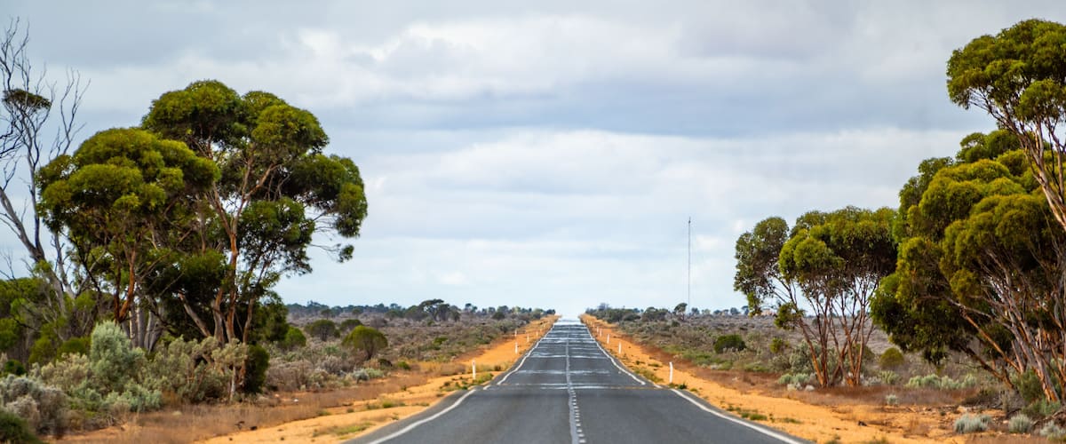 A straight road flanked by trees and shrubs, leading into the distance.