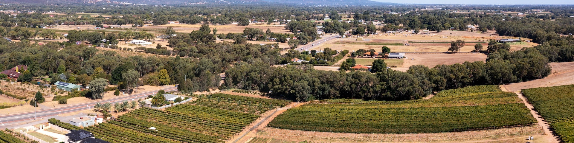 Vista aérea de un viñedo con hileras de vides, una carretera y edificios dispersos.