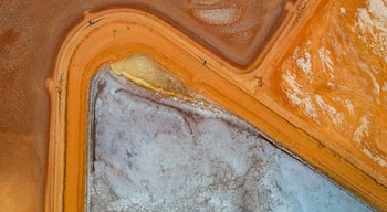 Vista aerea di un paesaggio con un'ampia distesa d'acqua, una zona arancione ben definita e una zona bianca con una macchia gialla.