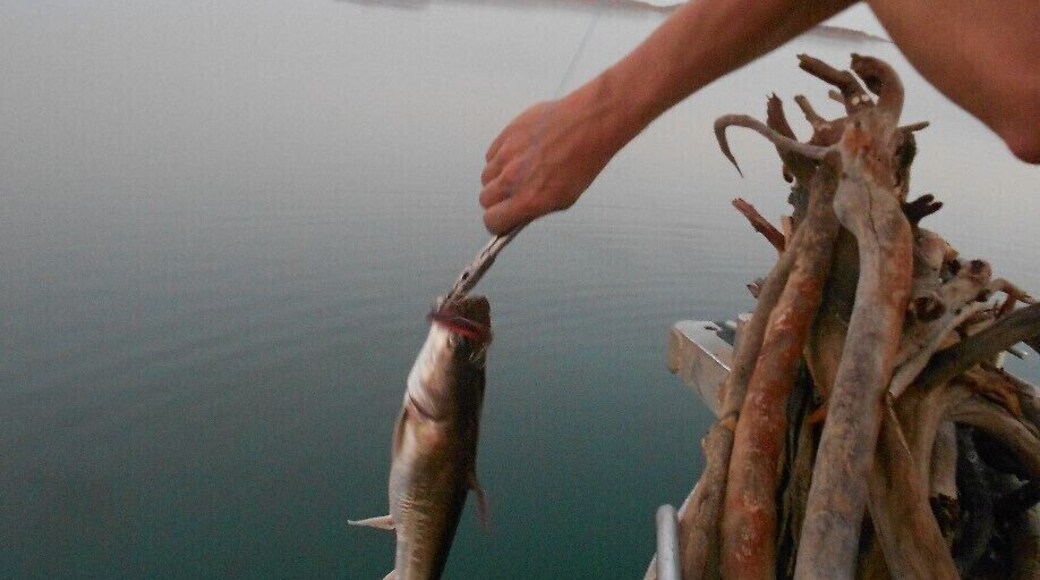 Lake Argyle is a beautiful location filled with wildlife. On a cruise you can see rockwallabies, freshwater crocs, fish and much more. I stayed the night at an Island with Kimberley Adventure Tours. Life on a deserted Island is very special!