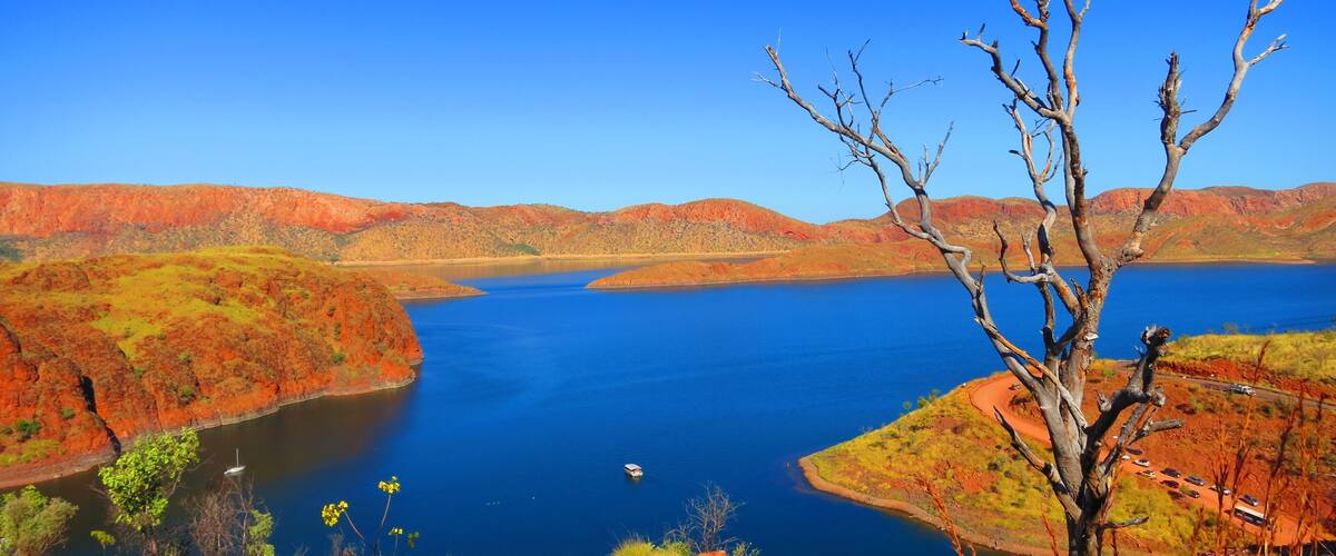 A large body of water surrounded by red-hued hills and a leafless tree in the foreground.