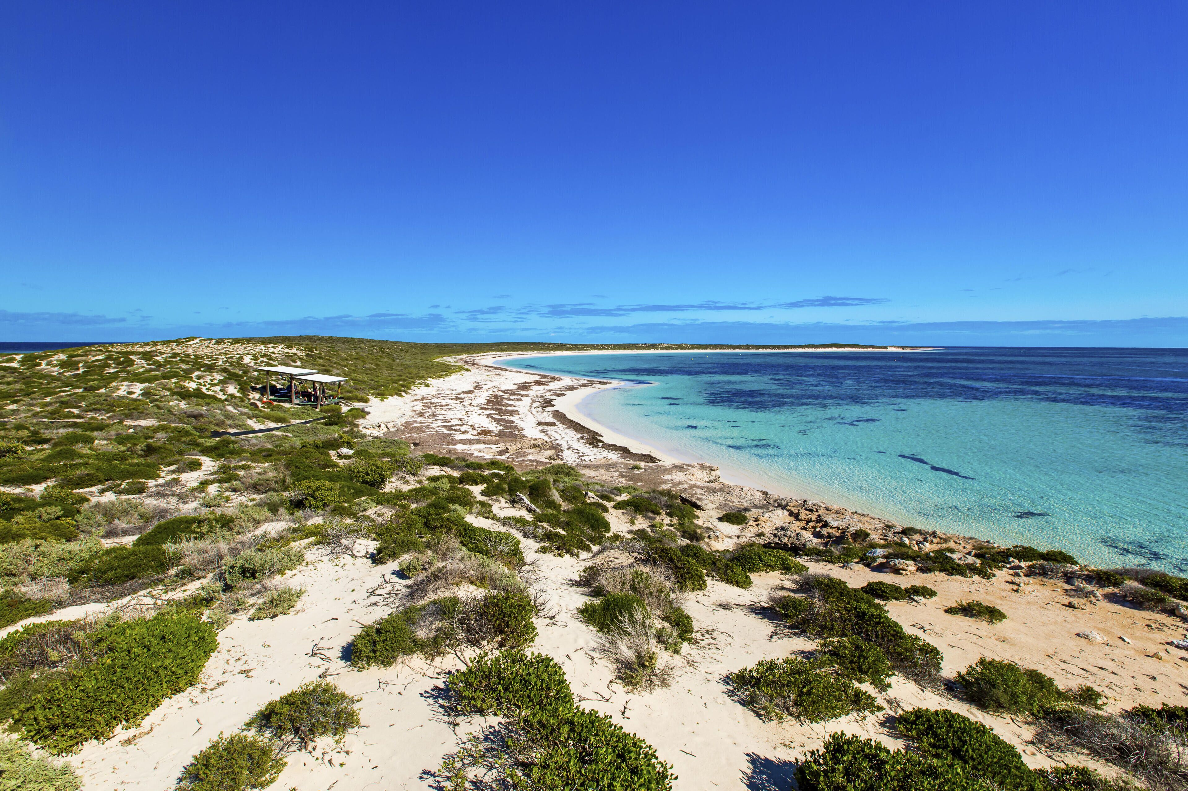 A coastal landscape with a sandy beach, green vegetation, and a clear blue ocean.