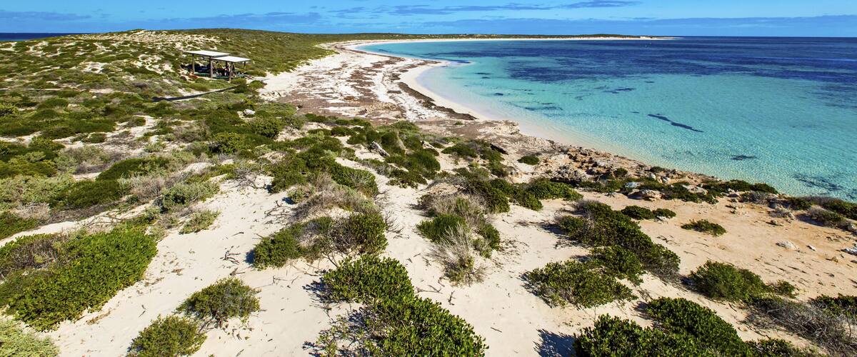 A coastal landscape with a sandy beach, green vegetation, and a clear blue ocean.