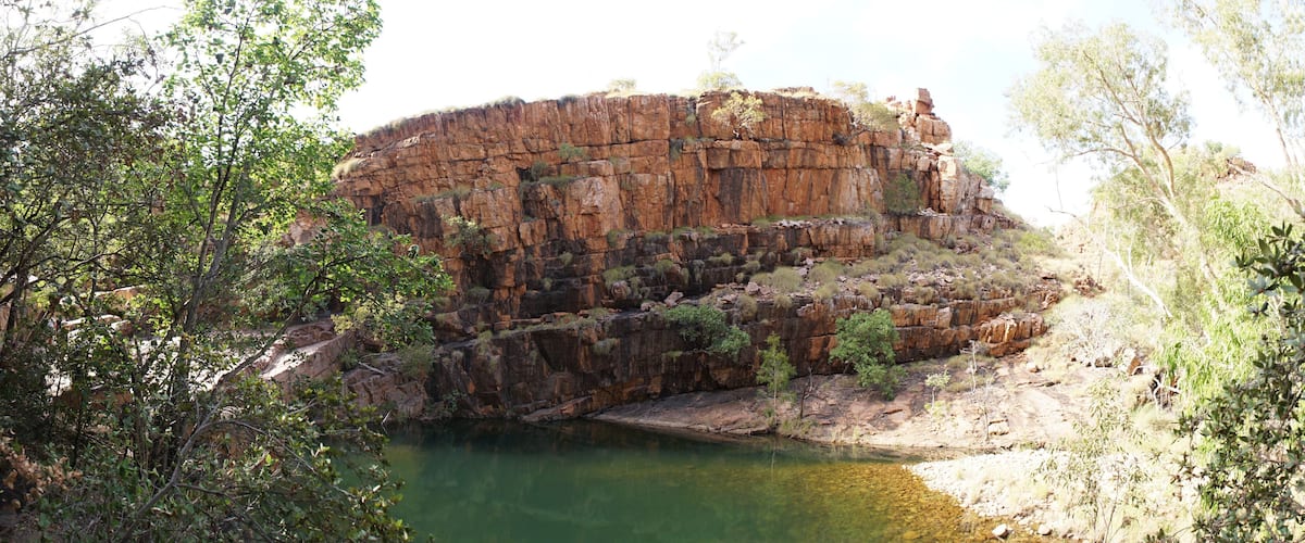 A rocky cliff with a small stream at its base, surrounded by dense greenery.