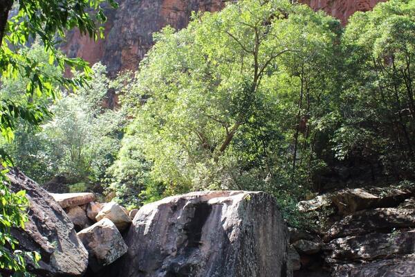 A beautiful walk to Emma Gorge. A must do walk when in the area!