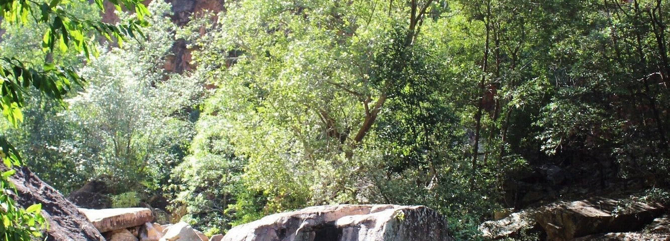 A beautiful walk to Emma Gorge. A must do walk when in the area!