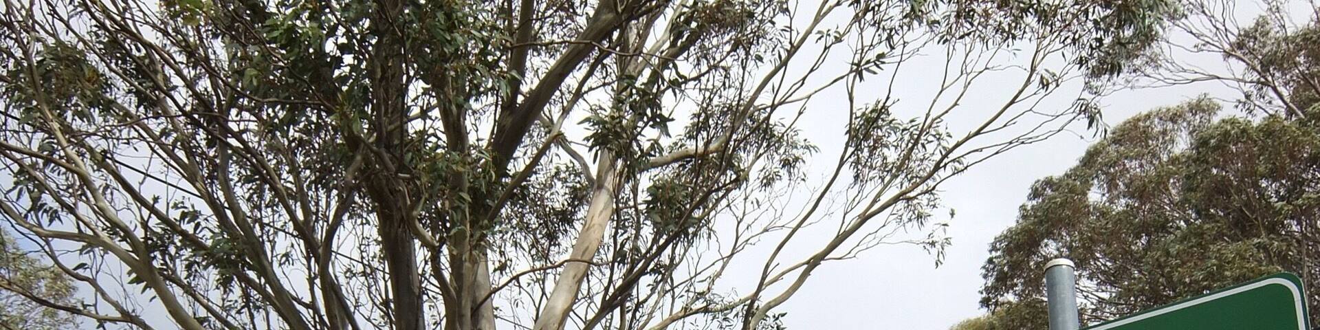 On the way to "Craig's Hut" location where they filmed the man from snowy river. It's up in the mountains and you need a four wheel drive for the rough terrain. Beautiful scenery!!