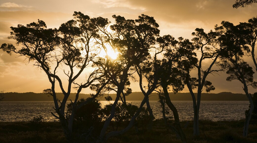 Leschenault Inlet, Bunbury, Western Australia, Australia