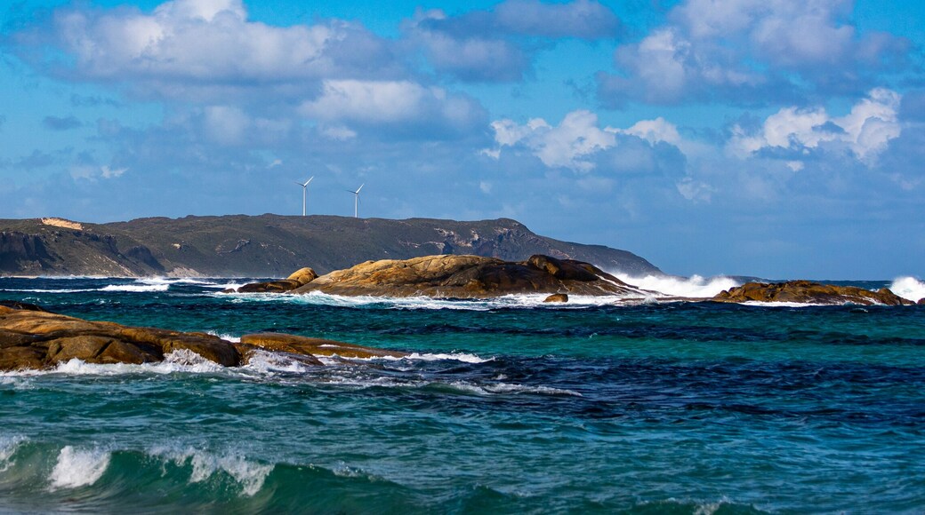 panorama of a unique coastline with wind farms on the cliff near west cape howe national park; a unique beach near albany and denmark in western australia