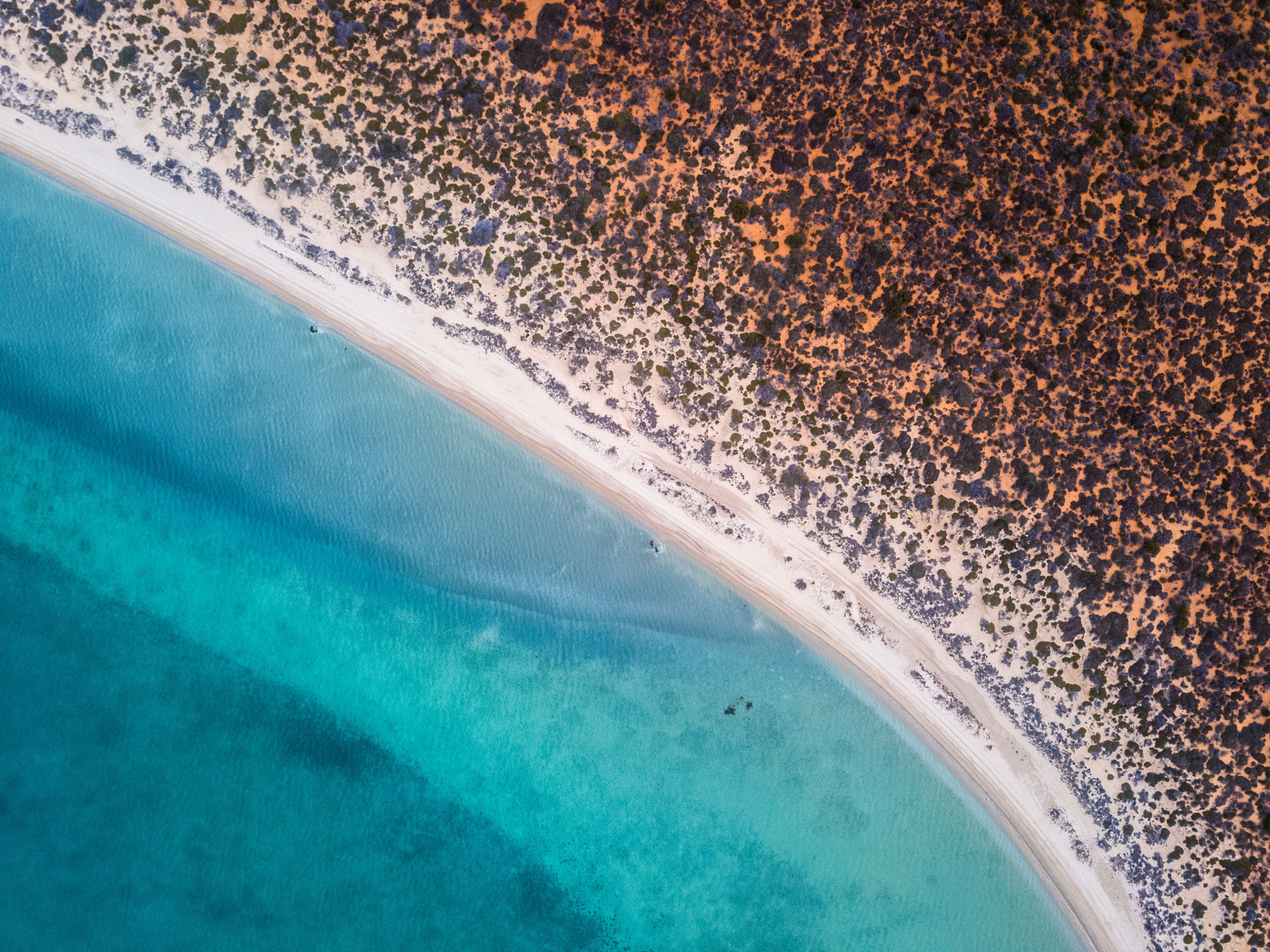 Vista aérea de uma praia com águas turquesa cristalinas, faixa arenosa e uma área densa de vegetação ou rochas à direita.